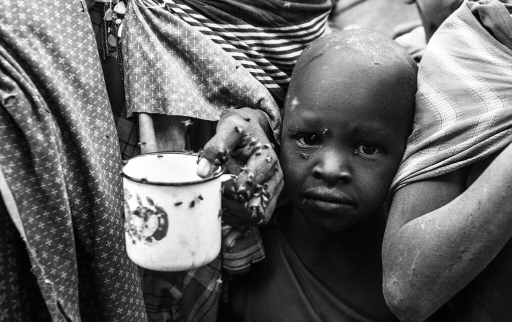 Vision_Radici_Globali